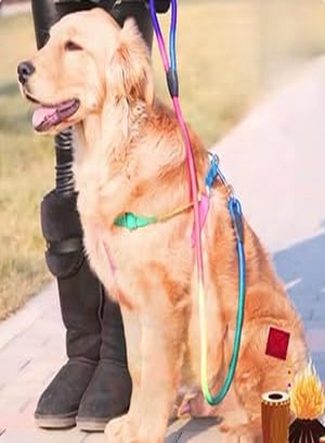 A+a Pets' Harness and Leash Set, Colourful Combo in Rainbow for Cats and Dogs (S, Rainbow) - Image 3